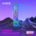 Одноразки Vozol Gear 20000