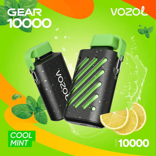 Одноразки Vozol Gear 10000