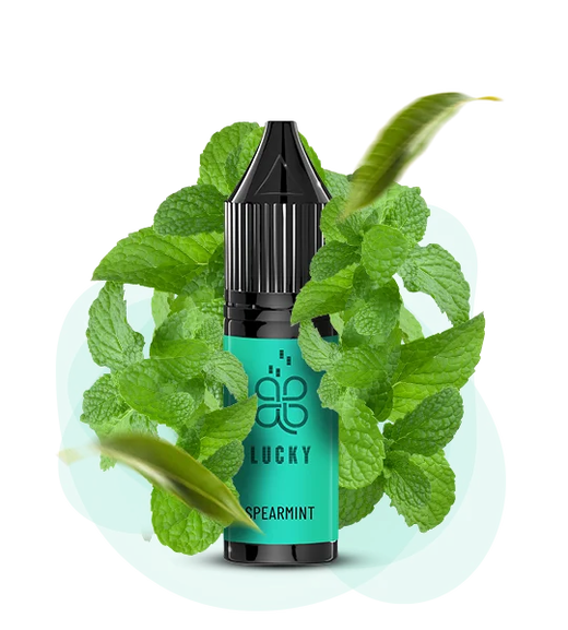 Солевая жидкость Lucky 15 мл 50 мг Spearmint (Мята)