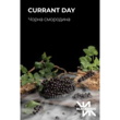 Чорна смородина (Currant Day)