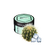 CULTt Strong DS44 ice cactus (Ледяной кактус)