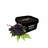 Dead Horse Elderberry (Бузина) 200 г