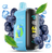 Одноразка ELF BAR RAYA D3 25 000 Blueberry Ice (Черника лёд)