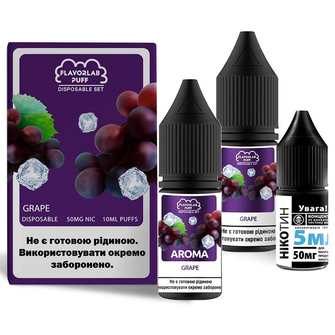 Набір сольової рідини Flavorlab Disposable Puff Grape (Виноград) 10 мл 65 мг