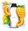 FLONQ ROQY 40000 Pineapple Mango (Ананас Манго)