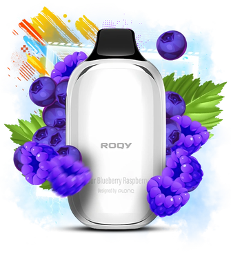 FLONQ ROQY 40000 Sour Blueberry Raspberry (Кисла чорниця Малина)