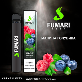 Одноразовая электронная сигарета FUMARI PODS Raspberry Blueberry (Малина Голубика) 800 puff