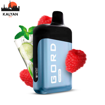 Одноразка GORD 6500 Raspberry Mojito (Малинове мохіто)