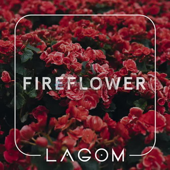 Табак Lagom Main Fireflower (Специи)