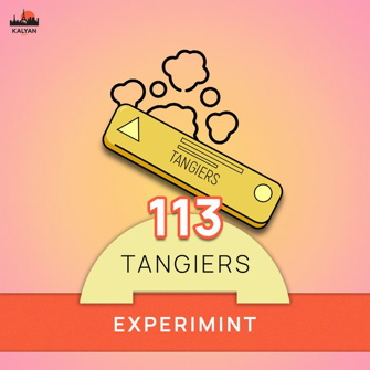 Tangiers Noir Experimint (Жвачка, Мята) 250г