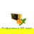 Табак Serbetli Orange Mint (Апельсин Мята) 100 грамм